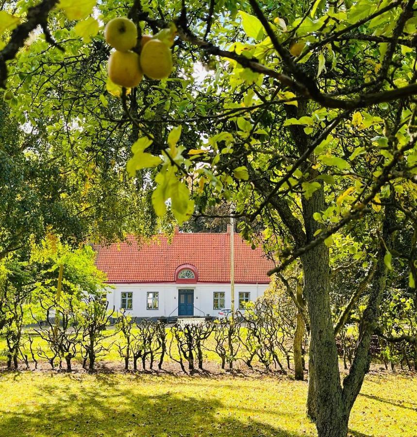 Aespoegarden Bed & Breakfast Klagstorp Екстер'єр фото