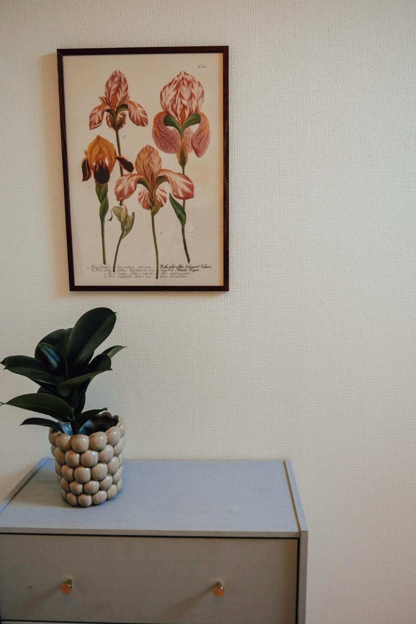Aespoegarden Bed & Breakfast Klagstorp Екстер'єр фото